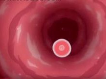 Thumbnail of post image 048